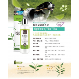 Divine Pets 極致清爽洗毛液 5L（貓狗適用）